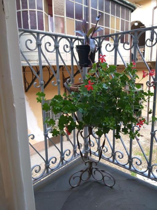 La Falconiera Vigevano Εξωτερικό φωτογραφία